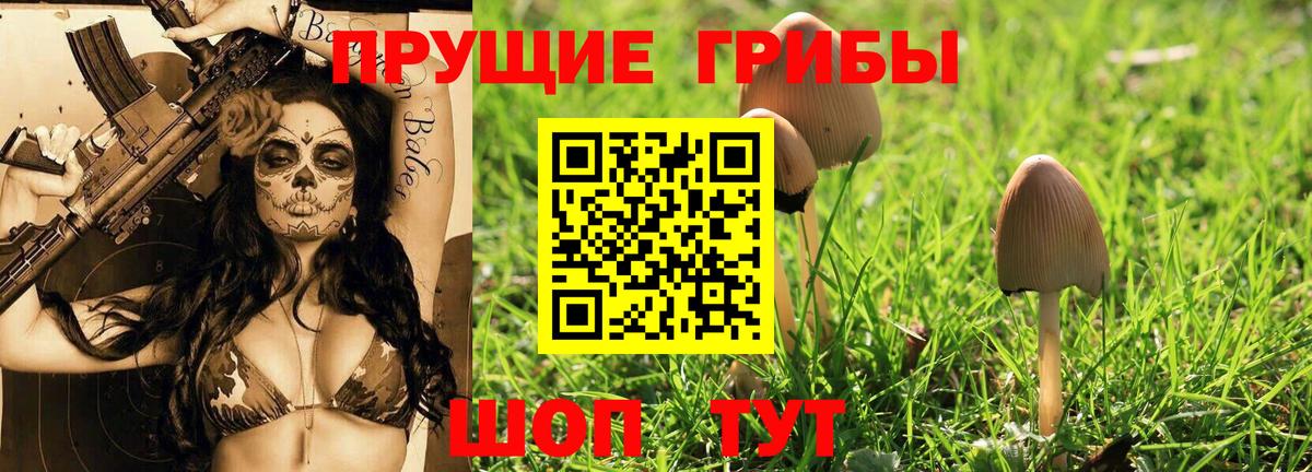 Россия  Псилоцибиновые грибы прущие грибы  Псилоцибиновые грибы Psilocybine cubensis  Вход с VPN 